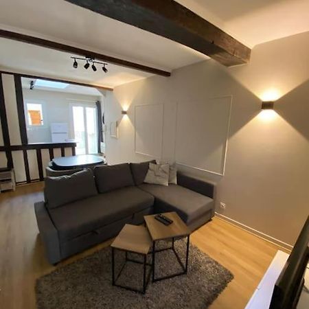 Appartement Charmant Hypercentre Avec Patio Prive Et Parking Ορλεάνη Εξωτερικό φωτογραφία
