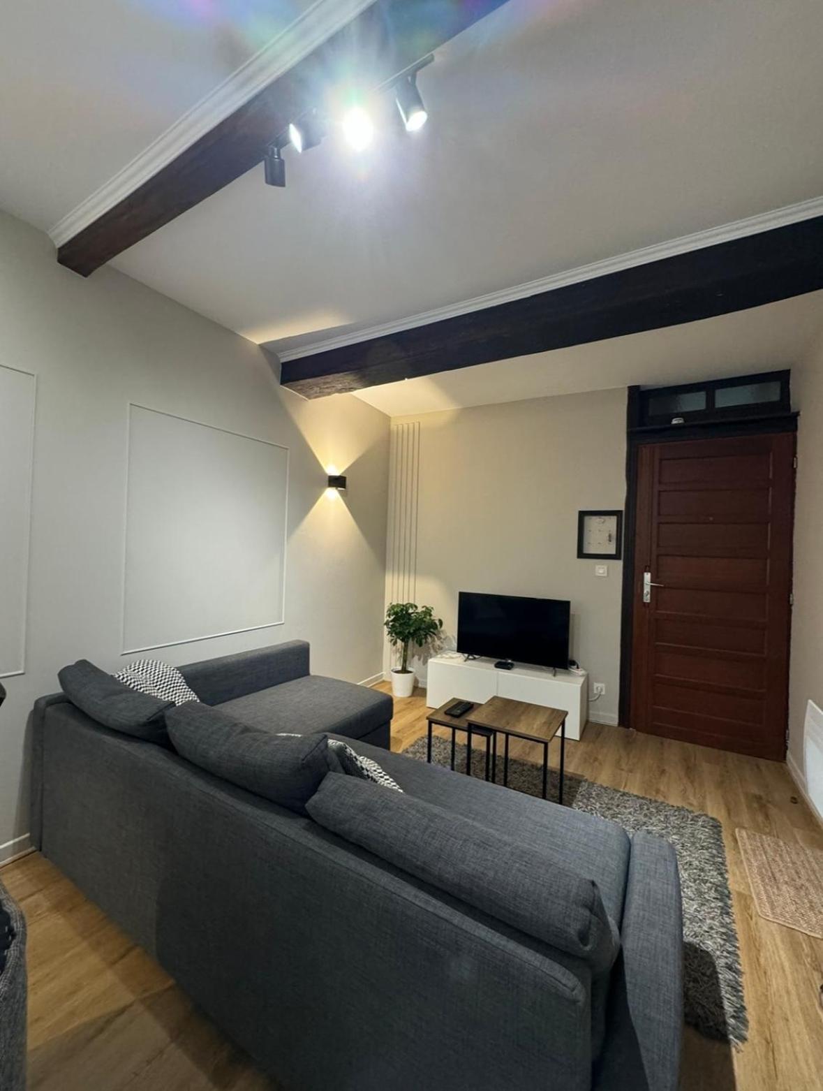 Appartement Charmant Hypercentre Avec Patio Prive Et Parking Ορλεάνη Εξωτερικό φωτογραφία