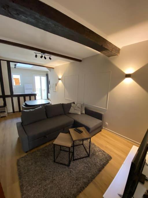 Appartement Charmant Hypercentre Avec Patio Prive Et Parking Ορλεάνη Εξωτερικό φωτογραφία